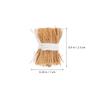 Decorațiuni pentru casă – Terarii decorative