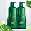 100 Years Runfa Grape Seed Shampoo Set
