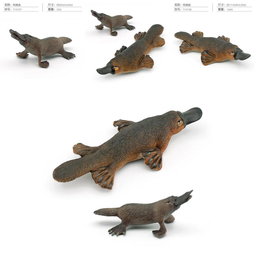 Realistic Pvc Platypus Model Educational Toy For Kids Decorative Desktop Display