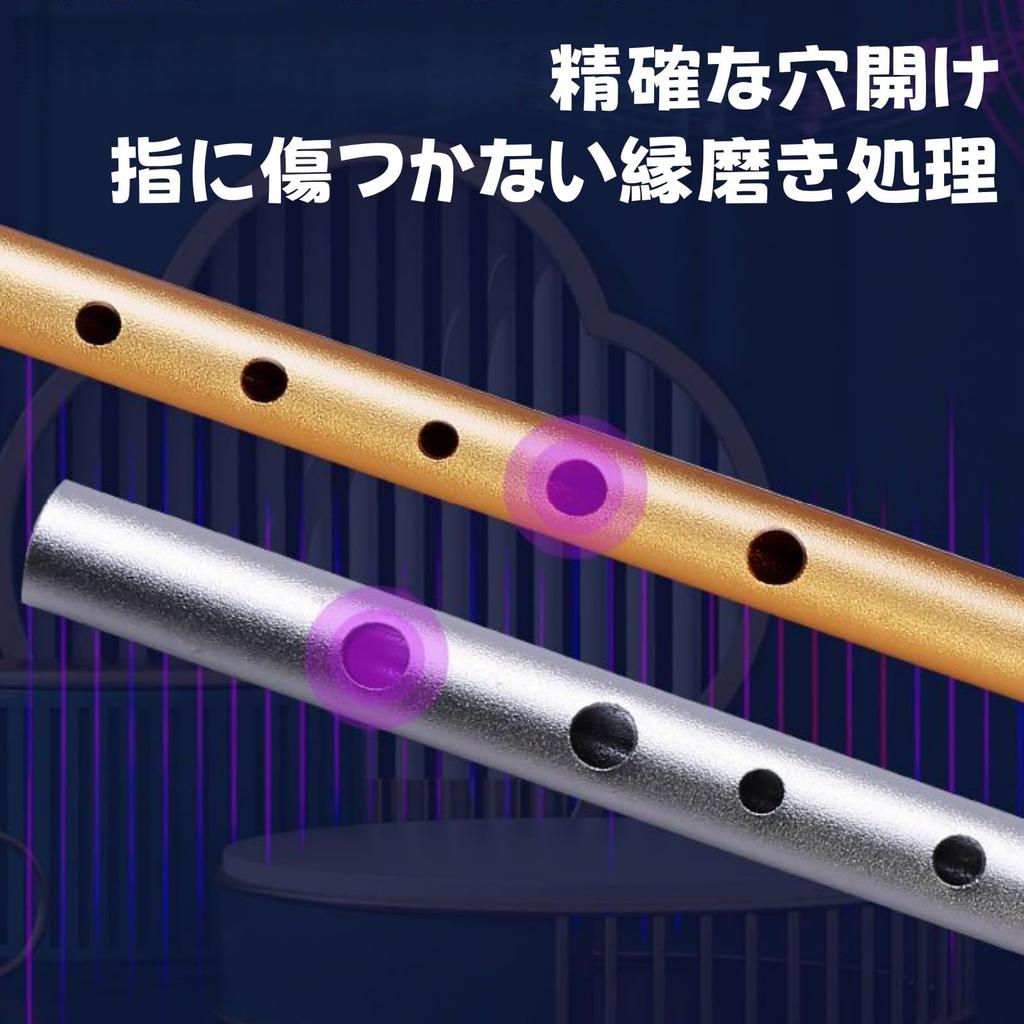 Tin Whistle Jinchuan, Aluminium, Flûte Irlandaise, Clé de D, Set Débutant, avec Sac de Rangement et Étui, Léger, Facile à Jouer, Instrument de Pratique, Noir