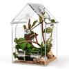 Shatterproof Clear Acrylic Reptiles Terrarium Breeding Box Ventilated Reptiles Cage For Science Experiment And Education