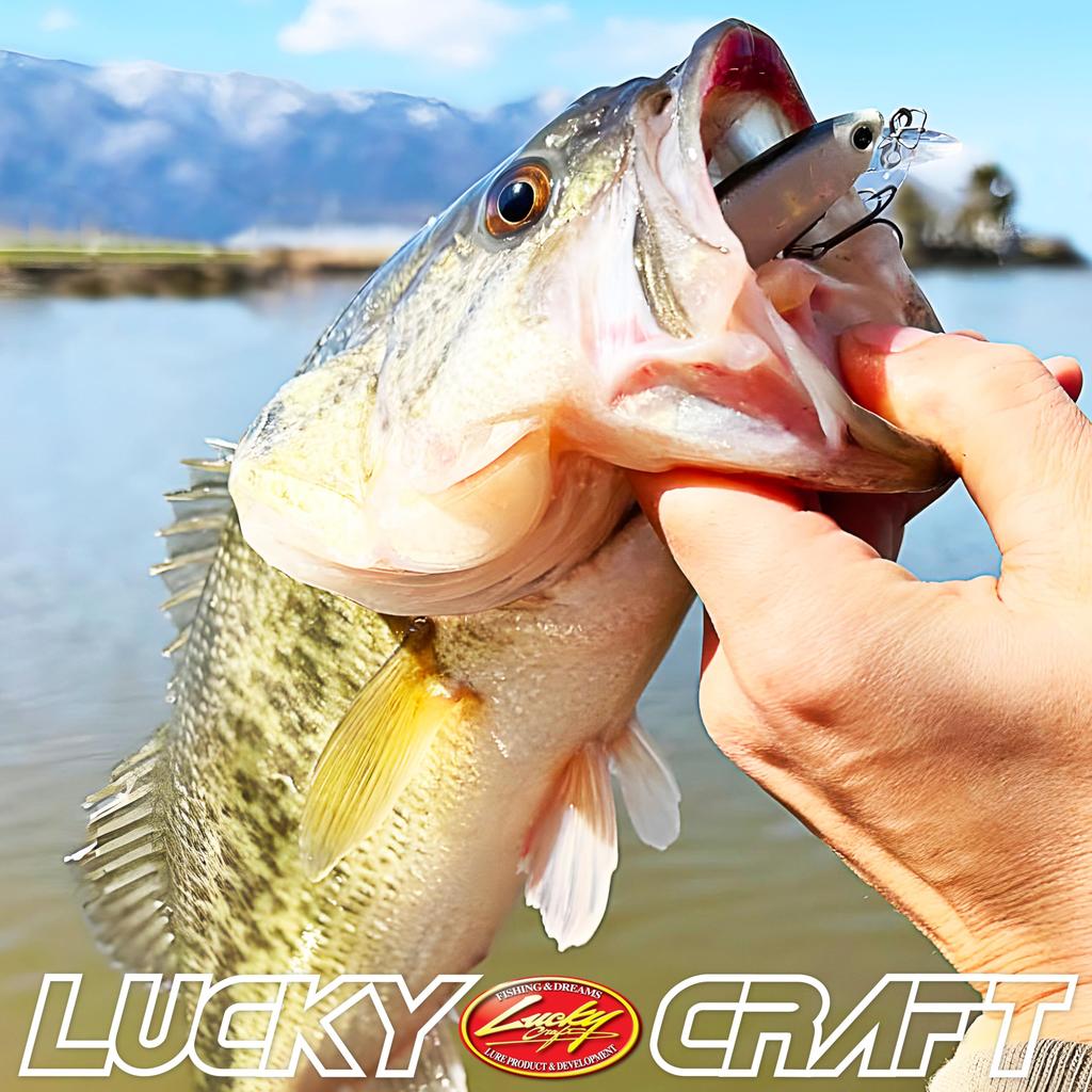 LUCKY CRAFT Trout Lure Pointer 65 (871 BGR Amago)