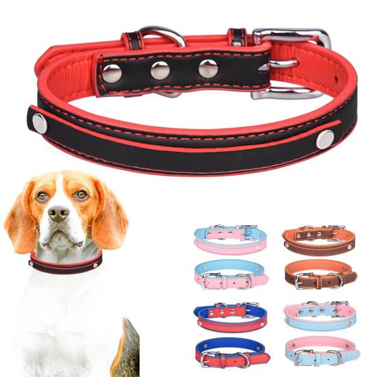 useful dog accessories