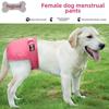 Culotte anti-molestation pour animaux de compagnie Chien Couche d'hygiène Chien Culotte d'œstrus Polyester respirant Vêtements pour animaux de compagnie