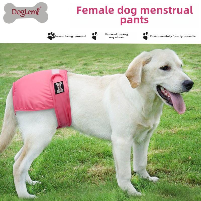Pet Anti-molestation Estrus Panties Dog Hygiene Diaper Breathable Polyester Bitch Physiological Pants Pet Clothes