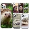 Cute Little Hedgehog Phone Case For iPhone 15 16 Pro Max 11 12 13 Mini 14 Pro Max XR 15 16 Plus 16e Cover Coque
