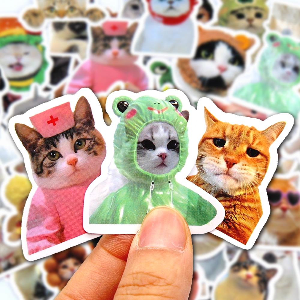10/30/50PCS Cartoon Funny Cat Meme Transparent Sticker DIY Phone Laptop Luggage Skateboard Graffiti Decals For Gift Kids Sticker