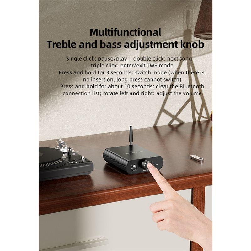 YS-T100W TPA3116 Bluetooth 5.3 Mono Power Amplifier, 12-24V Boost Mini Audio 100W Amplifier Support APP Control