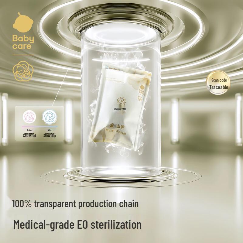 Babycare Camellia Disposable Maternity Underwear