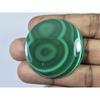 98Cts. Natural Green Malachite Round Shape Cabochon Loose Gemstone 43X43X4MM D-331