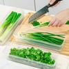 Refrigerator Keep Fresh Organizer Rectangular Fruit Vegetable Storage Containers Box Household Kitchen Food Sealed Box Wholesale