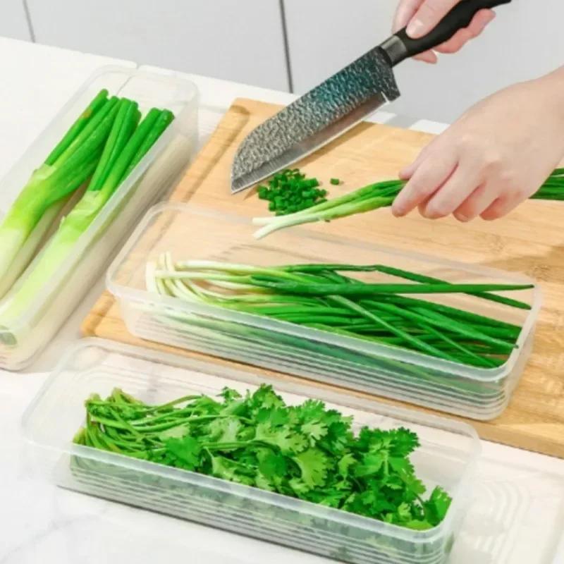 Refrigerator Keep Fresh Organizer Rectangular Fruit Vegetable Storage Containers Box Household Kitchen Food Sealed Box Wholesale