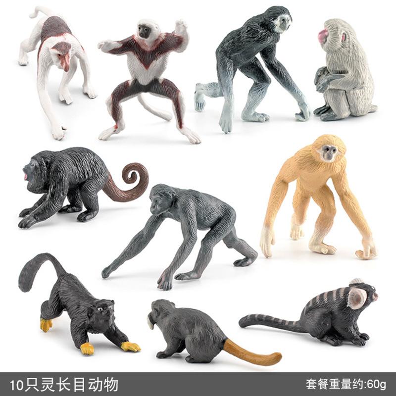 

Pvc Primate Exquisite Animal Figurines Featuring 10 Static Models Of Longnosed Monkeys Gibbons And