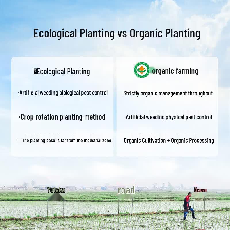 Yudaofu Ecological Wuchang Rice