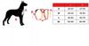 Szelki dla psa guard bezuciskowe kolorowe labrador golden huggy doggy xl