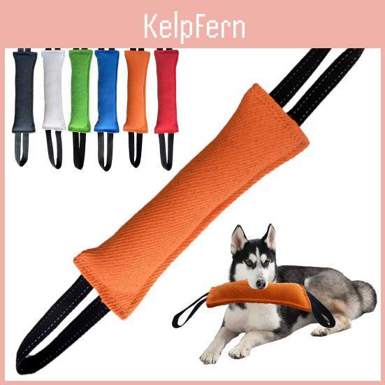 Dog Stick Clean Bite Teeth Interactive Play Toys Training Equipment Dog Biting Cushion