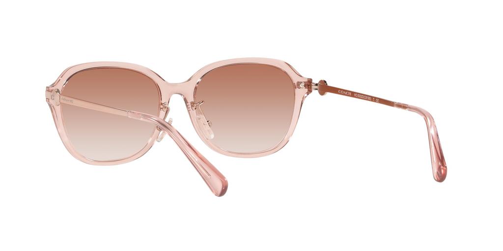 Coach HC8332D Transparent Pink Size 56 Women's Sunglasses,
