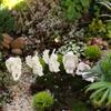 5-Piece Garden Miniature Tree Angel Decorations, Creative Christmas/Easter Crafts, Resin Artwork