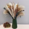 Natural Dried Pampas Grass Reed Bouquet Bohemian Style Phragmites Dried Flowers For Wedding Centerpieces Floral Arrangement