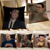 JJoey TribbianiCool Character Fleece Cushion Cover Pillowcase Antidustmite Living Room Sofa Decor Cushion Room