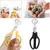 Pigeon Quail Egg Scissor Bird Cutter Opener Egg Slicers Kitchen Tool Clipper
