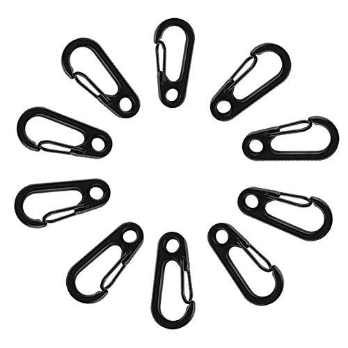 TEMLUM Carabiner, Small Mini Carabiner, Set of 10, Snap Hook,