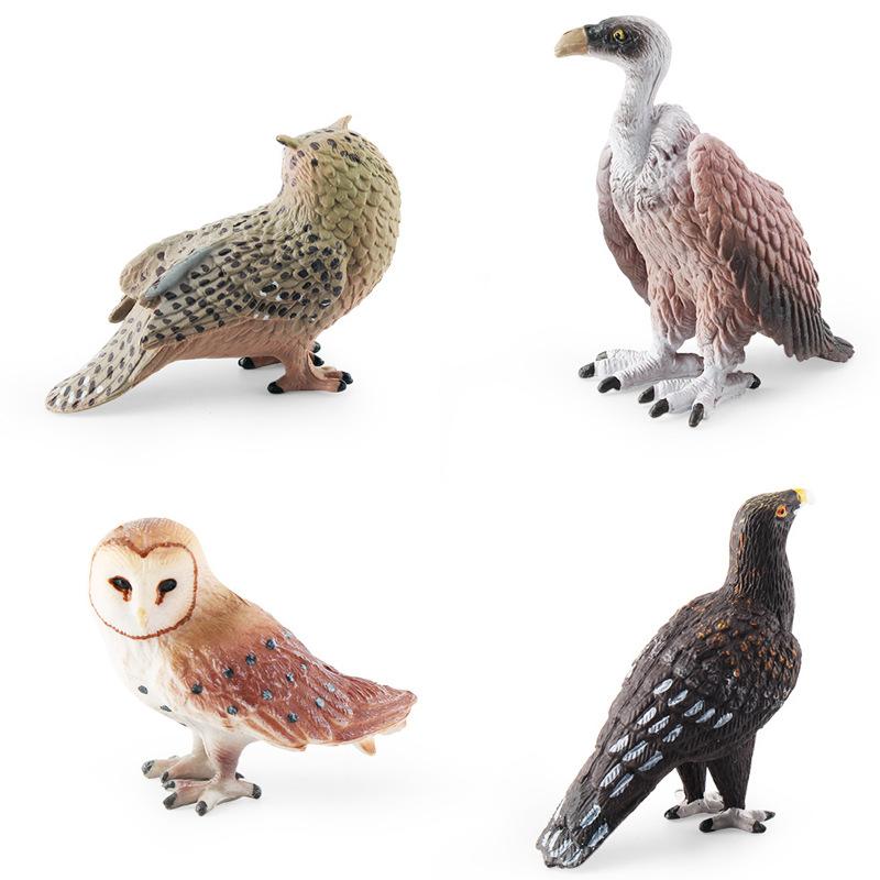 Simulation Of Birds, Birds, Animal Models, Cognition, Monkey Face Eagle, Eagle, Vulture, Owl, Cognition, Static Ornament