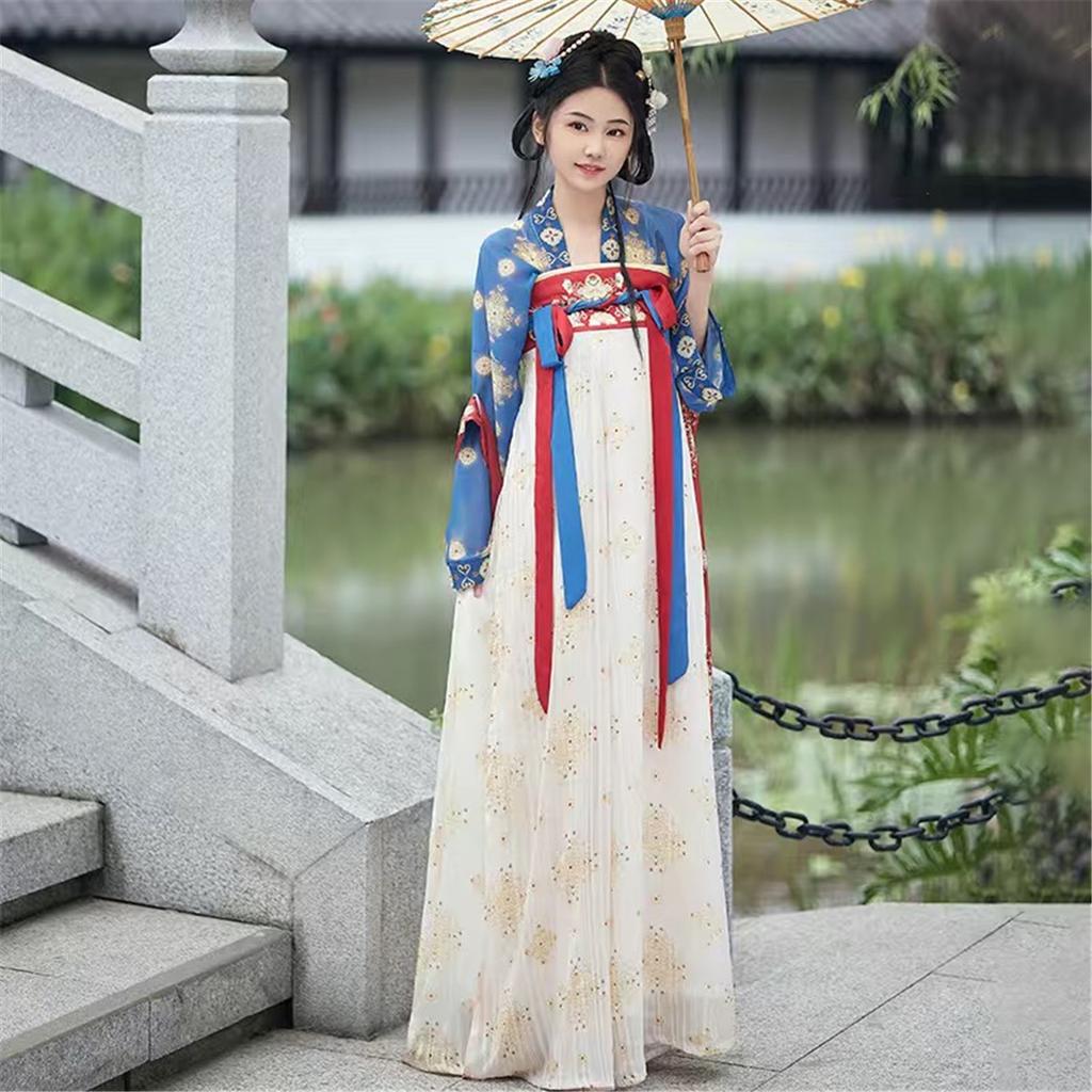  Traditional Chinese Hanfu Dress - Tang Dynasty Floral Print Matching Outfits for Women