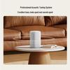 Xiaomi Xiaoai AI Smart Speaker
