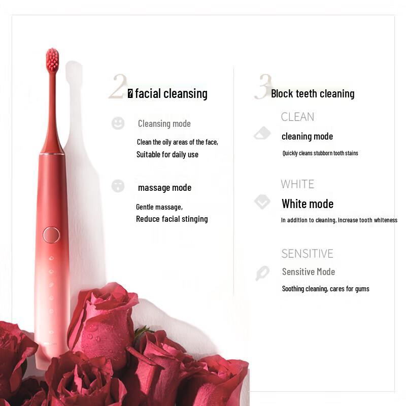 ROAMAN T40 Sonic Electric Toothbrush for Adults CN plug (adapter included)