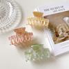 Chic Acetate Hair Claw Clip In Beautiful Colors For Trendy Hairstyling And Bathing