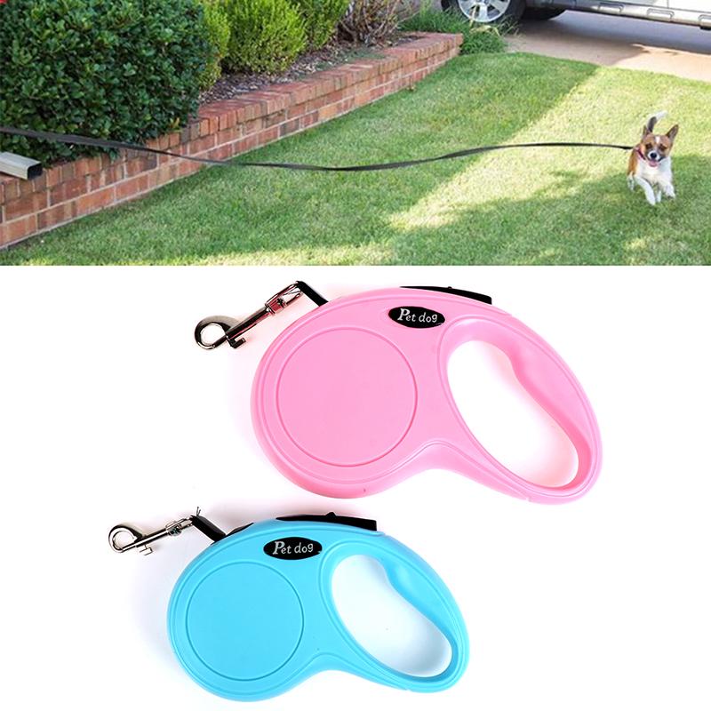 retractable yard leash