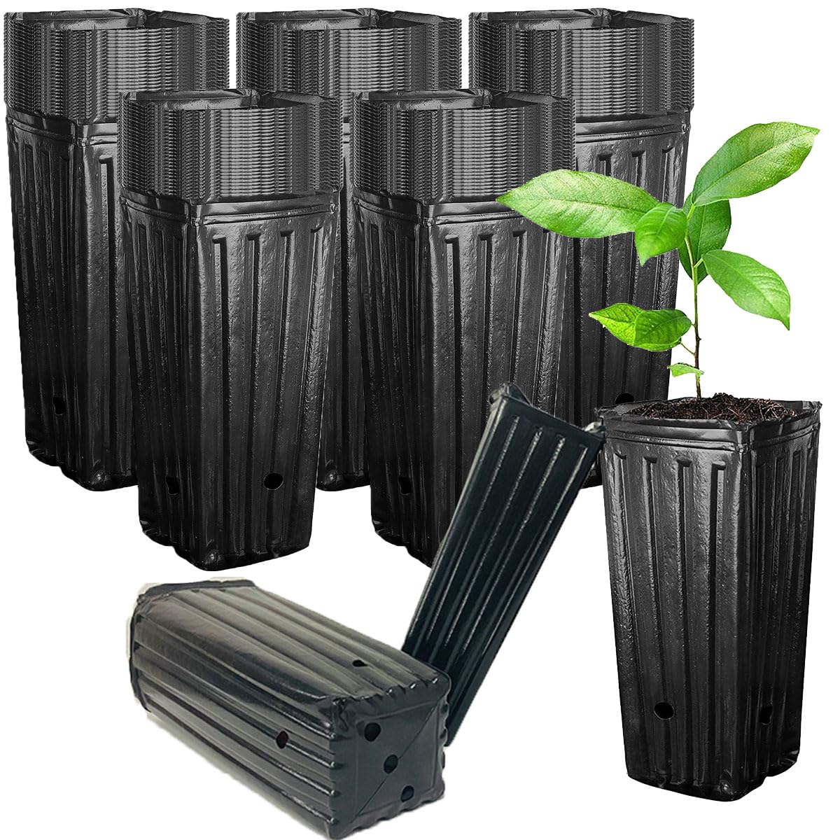 

ЗДОРОВЫЙ Рассада Длинные Поливиниловые Горшки для Растений для Рассады Горшков, Горшков, Кашпо, Глубокие, Горшки, (Упаковка 100 шт.) чёрный