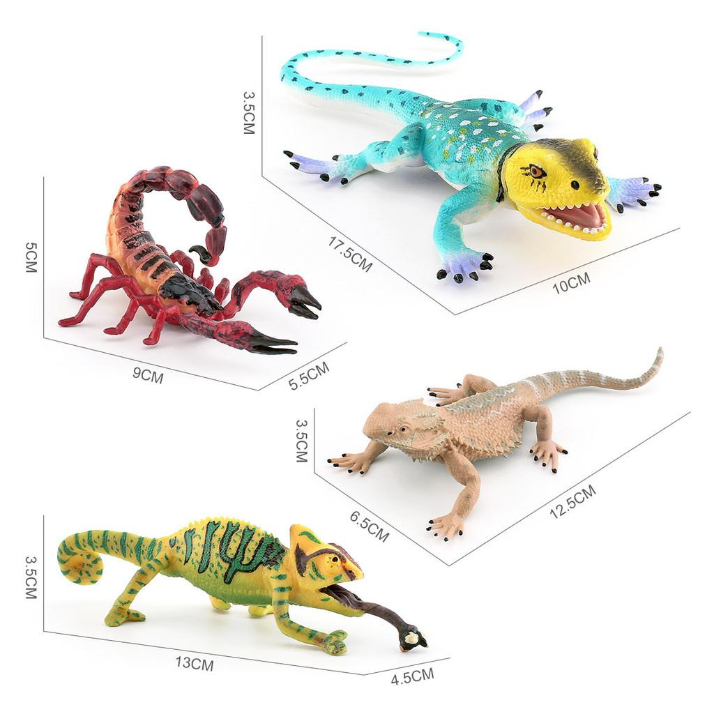 Lifelike Amphibian Pvc Chameleon Scorpion Lizard And Bearded Dragon Collectible Models Perfect For Decoration And Gifts