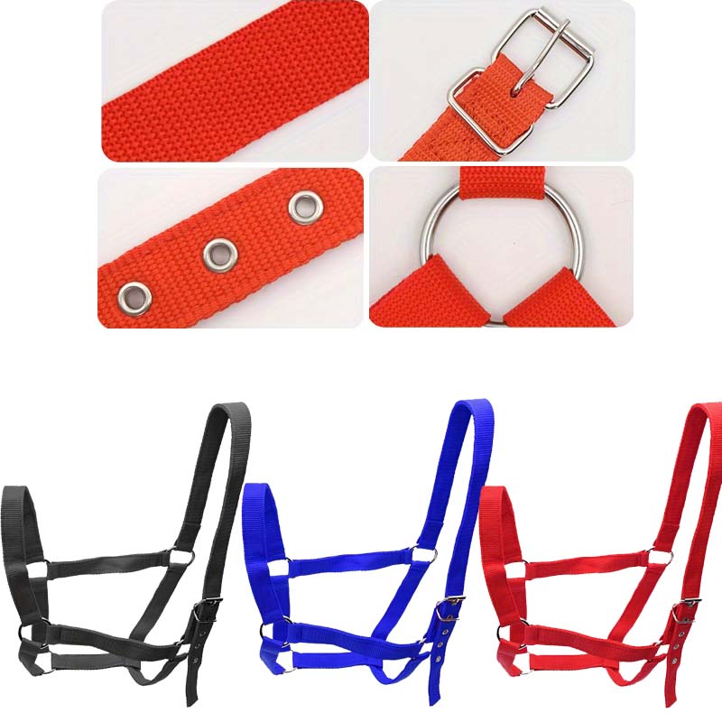 Professional Adjustable Horse Halter Equestrian Bridle Headcollar Ideal for Horse Training and Outdoor Riding