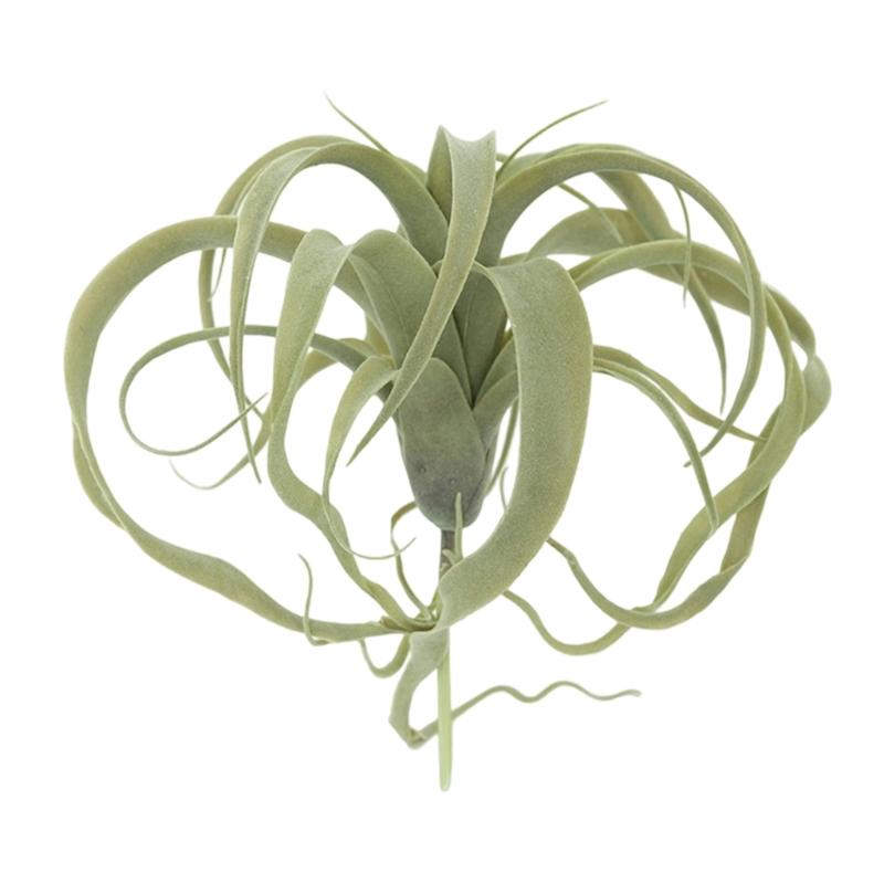 Realistic Faux Tillandsia Succulents Artificial Air Plant For Indoor Home Office Green Plant for Shelf Desk Decoration