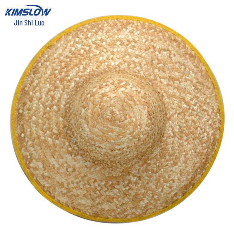 Wide Brim Straw Sun Hat