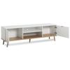 Meuble TV Scandinave GÖTEBORG - Blanc - 2 Portes - L 160 X P 40 X H 50 Cm