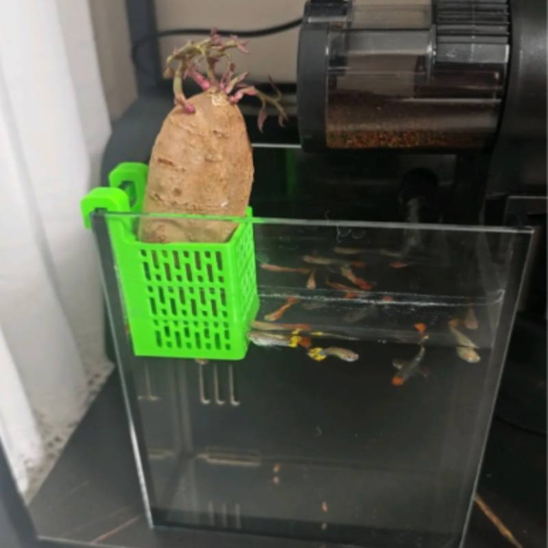 Fish Tank Hydroponic Planting Basket For Hydroponic Plant Cultivation Fish Tank Water Landscape Decoration Gardening Accessories