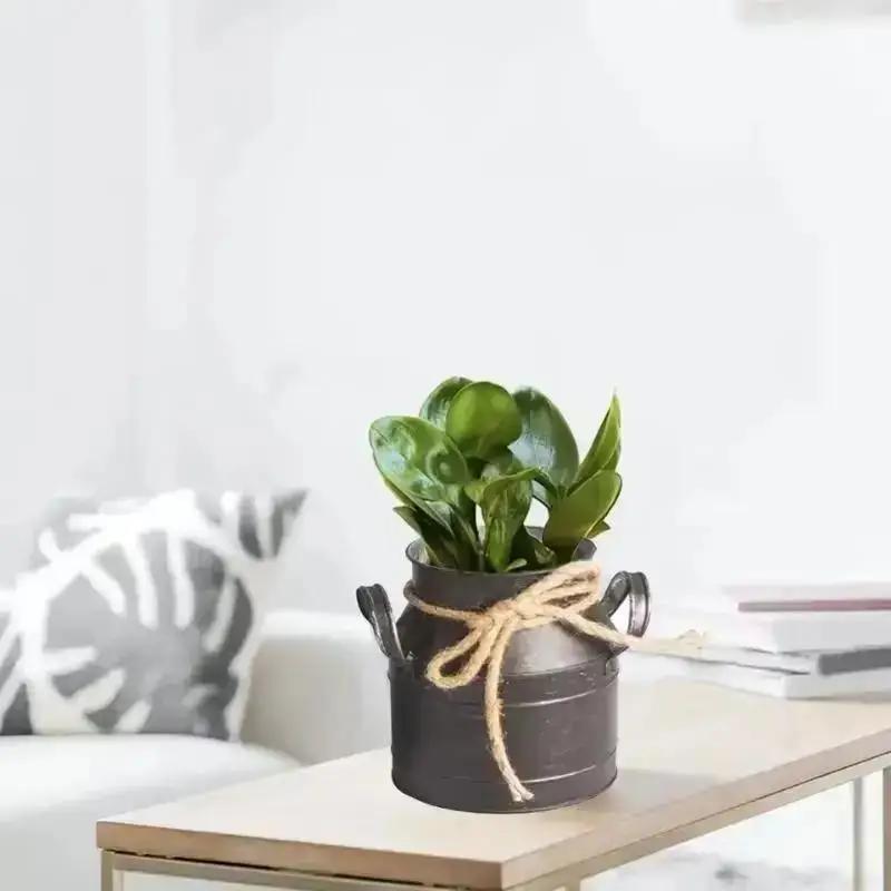 Retro Rural Style Metal Vase Unique Design Living Room Desktop Ornament Suitable Flower Arrangement Tank Household Supplies