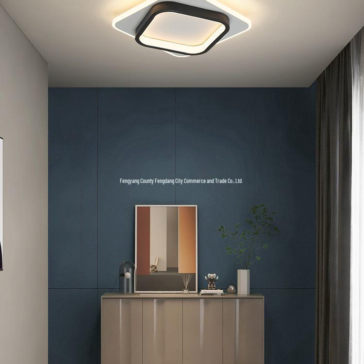 Nordische minimalistische Deckenleuchte für Flure, Eingänge, Balkone und Garderoben - Schwarz-Weiß-Design.