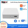 Graffiti Bluetooth WiFi Smart Hub: Alexa & Tuya Compatible Mini Mesh Gateway