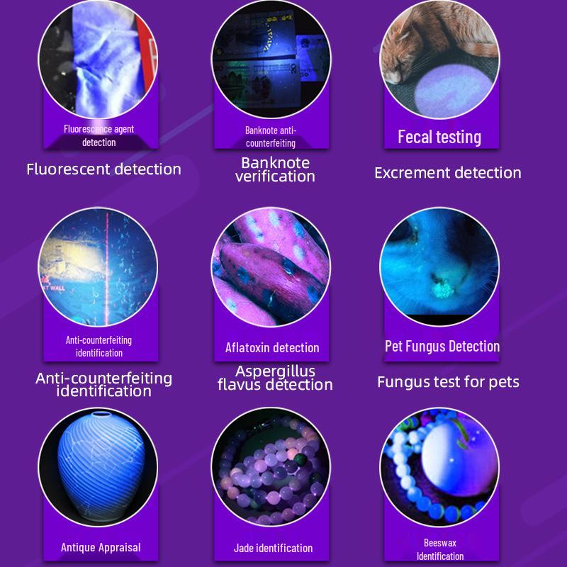 UV-Schwarzlicht-Taschenlampe: Tragbarer 365nm Banknotenprüfer, Fälschungssicher, Jade-ID, Wood-Lampe, USB wiederaufladbar