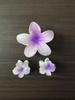 Gradient Plumeria Claw Clip Set: 18-Piece Floral Hair Accessories