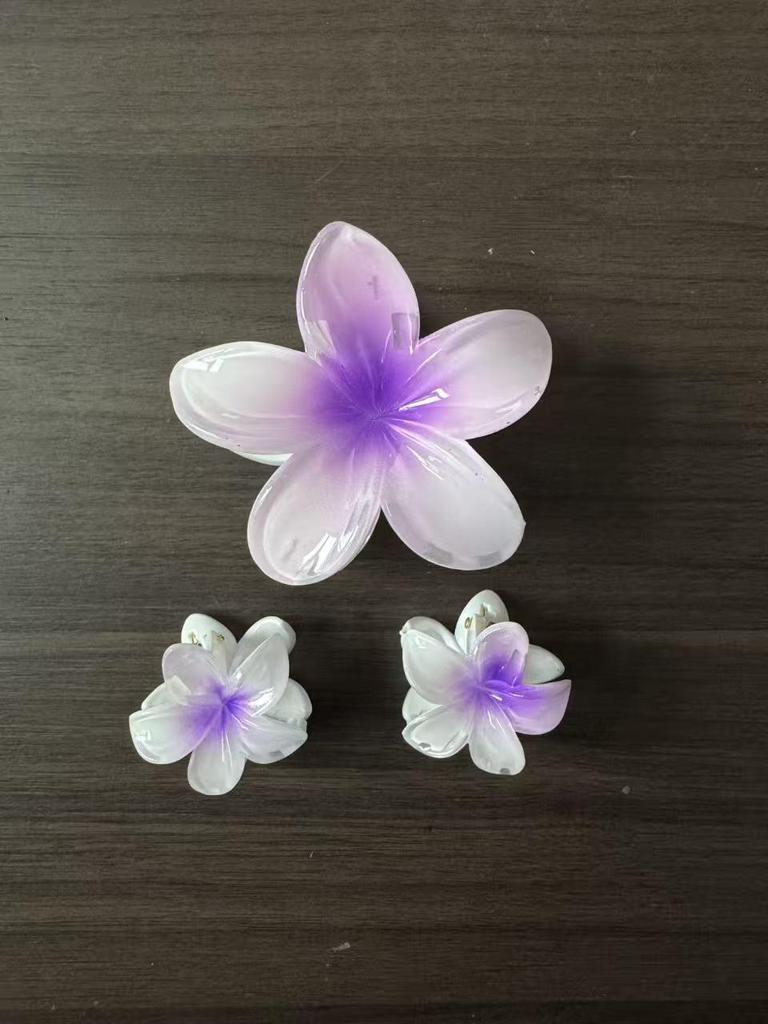 Gradient Plumeria Claw Clip Set: 18-Piece Floral Hair Accessories