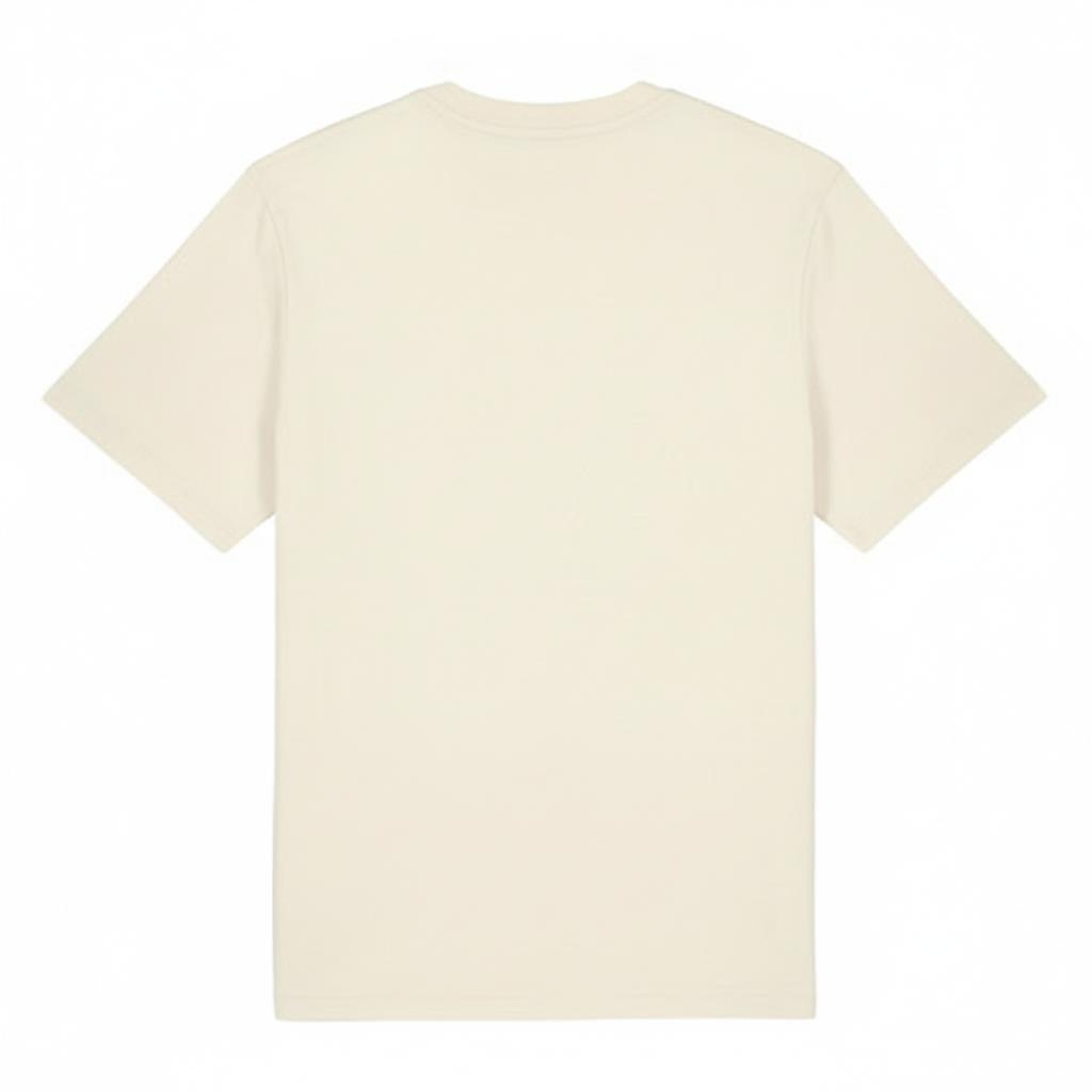 Superman Unisex Adult You´ll Believe A Man Can Fly T-Shirt