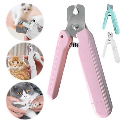 Gatos – Cuidados e higiene