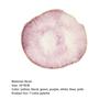 Creative Golden Edge Resin Nail Color Palette Mixing Drawing Paint Manicure Display Holder for DIY