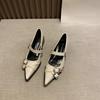 Fashion Spring Women's High Heels Sexy French Style Pointed Shoes Metal Decoration Paired Skirts Elegant Banquet Fashion Mary Jane 2025