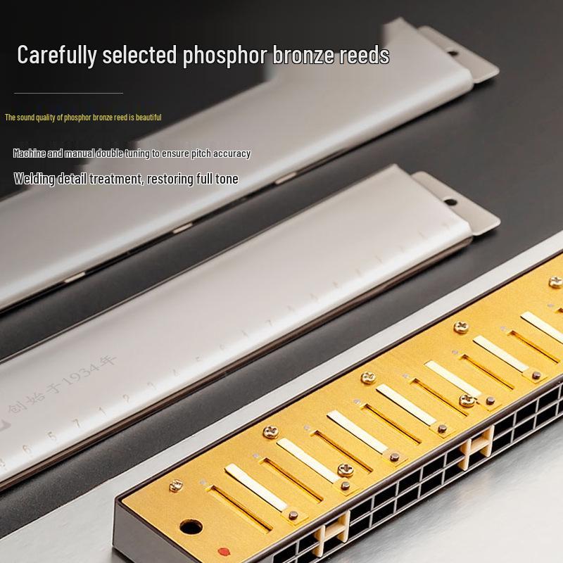 Guoguang 24-Hole C Key Double Reed Harmonica - Beginner Wind Instrument for All Ages